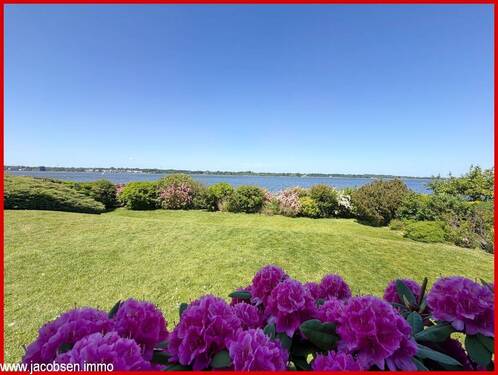 Gartenimpressionen - 