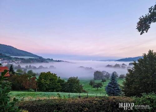 Blick nach Freiburg im Nebel.jpg - 