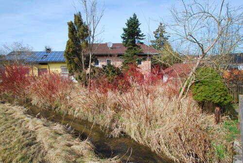 DSC_0021 - 8 Zimmer Mehrfamilienhaus, Wohnhaus zum Kaufen in Triftern