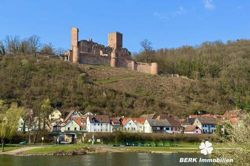 Ausblick von der Fähre - 5 Zimmer Einfamilienhaus zum Kaufen in Stadtprozelten