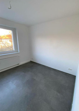 Screenshot 2026-02-16 141626.png - 