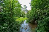 Bachlauf - 