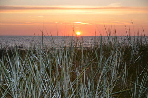 Morgenstimmung - 