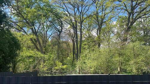 1 -2 Minute fußläufig erreichbach 
Seerosenweiher mit angrenzendem Waldgebiet - 