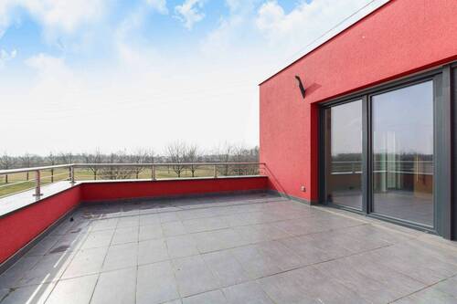 Dachterrasse - 6 Zimmer Doppelhaushälfte in Berlin