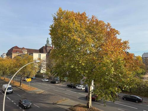 Der Ausblick - 