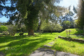 Garten - Grundstück in Köln