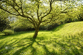 Bild 6 - 