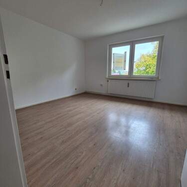 20251008_144431_resized.jpg - 