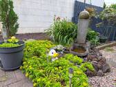 Bild 18 - 