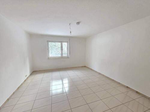 20260220_131031(1)_(1024_x_768).jpg - 