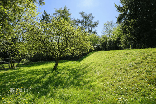 Bild 8 - 
