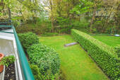Blick in den Garten - 