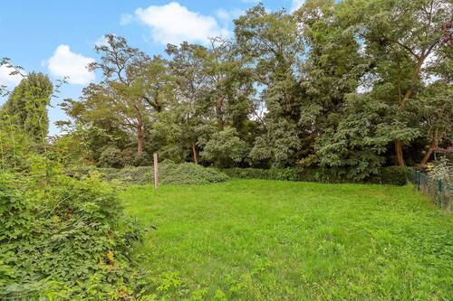 Grundstücksansicht (21) - 