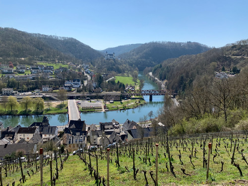Blick vom Weinberg - Einzigartige Traumlage inkl. Bauprojekt