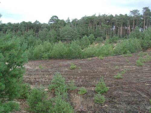 Natur pur - 