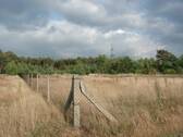 Seitenansicht - 