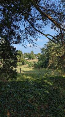 Naturidyll - Baugrundstück für Naturliebhaber
