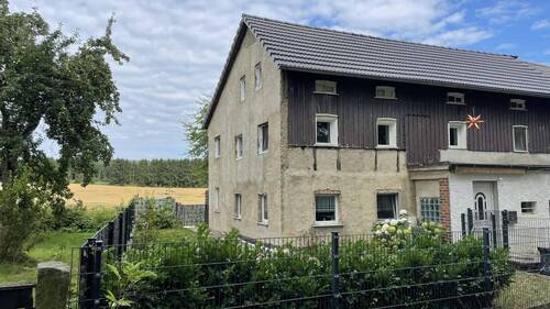 Seitenansicht von der Straße - 6 Zimmer Einfamilienhaus in Frankenthal
