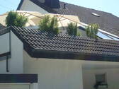 Bild 10 - 