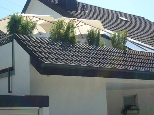 Bild 10 - 