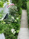 Bild 12 - 