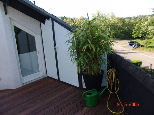 Bild 8 - 