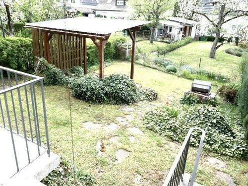 Blick in den Garten - 