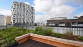 Gemeinschaftsdachterrasse - 
