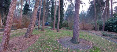 20260123_094147.jpg - 