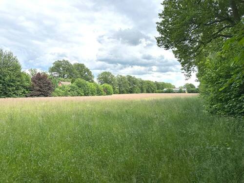 Angrenzendes Feld - 