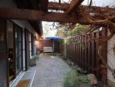 AG6A3748.JPG - 