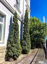 Terrasse - Etagenwohnung mit 116,00 m&sup2; in Würzburg zum Kaufen