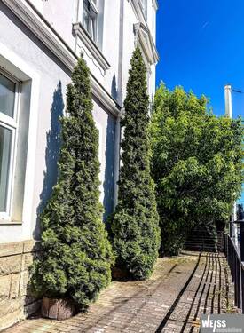 Terrasse - Etagenwohnung mit 116,00 m&sup2; in Würzburg zum Kaufen