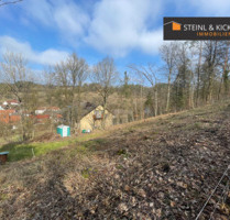 Grundstück in Weigendorf - 98.000,00 EUR Kaufpreis, ca.  0,00 m² in Weigendorf (PLZ: 91249)