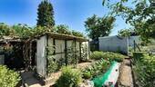 Gemüsegarten & Gewächshaus - 