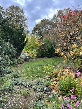 Garten.jpg - 