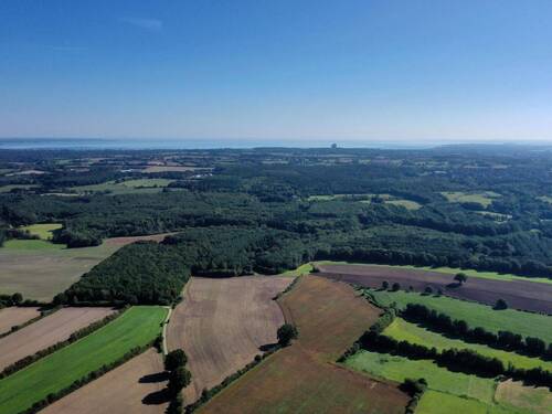 Ostsee - zum greifen nah - 