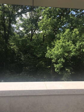 Ausblick von Terrasse - 