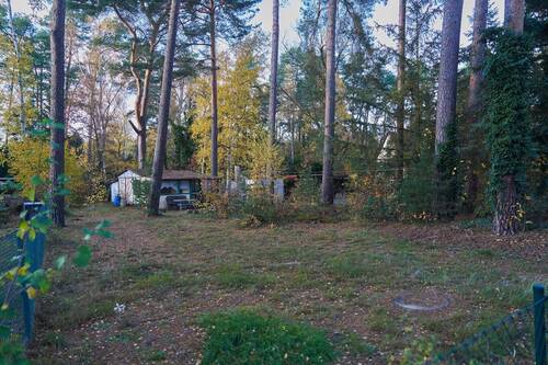 Frontansicht - Grundstück in Wandlitz zum Kaufen