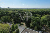 Blick in den Stadtwald - 