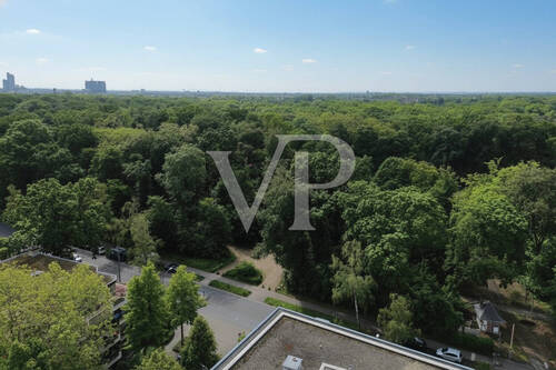 Blick in den Stadtwald - 