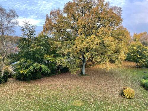 Blick vom Balkon - 