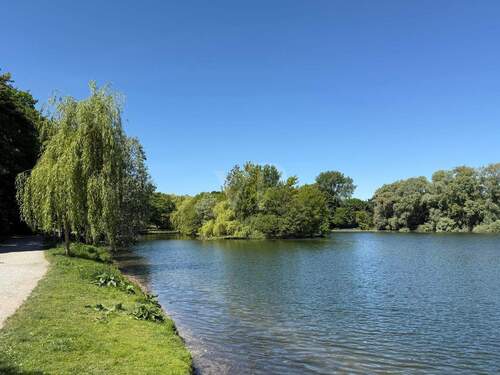 Obersee - 
