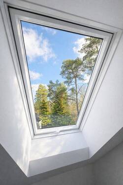 Blick aus dem Dachfenster EFH - 