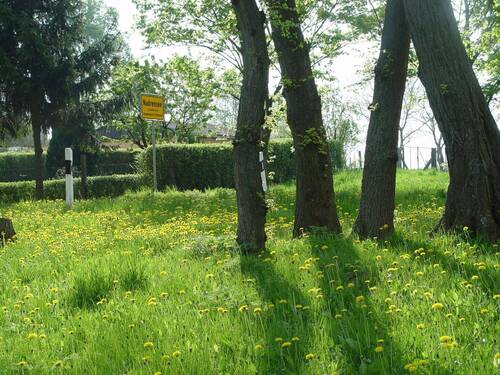Wiese vor dem See - 