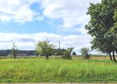 naturnahe Lage - Grundstück zum Kaufen in Vilseck