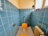 Gäste-WC Erdgeschoss - 
