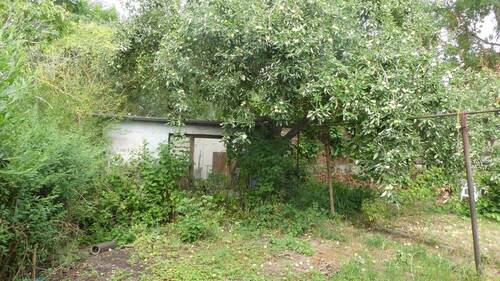 Obstgarten - 