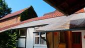 Petri11 - 
